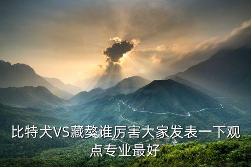 比特犬VS藏獒誰厲害大家發(fā)表一下觀點(diǎn)專業(yè)最好