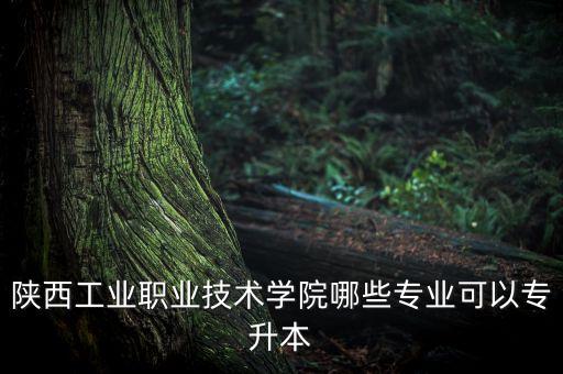 陜西工業(yè)職業(yè)技術(shù)學(xué)院哪些專業(yè)可以專升本