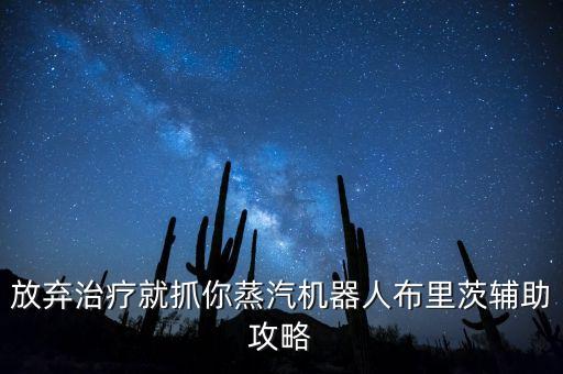 放棄治療就抓你蒸汽機(jī)器人布里茨輔助攻略