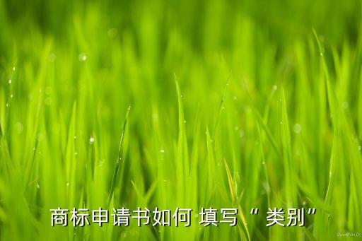  商標(biāo)申請書如何 填寫“ 類別”