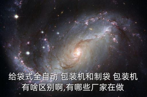 給袋式全自動(dòng) 包裝機(jī)和制袋 包裝機(jī)有啥區(qū)別啊,有哪些廠家在做