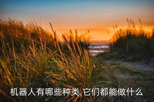 家用機器人有哪些種類,機器人有哪些種類?它們能做什么?