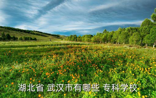 湖北省 武漢市有哪些 ?？茖W(xué)校