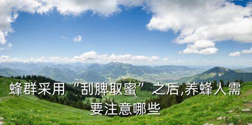 蜂群采用“刮脾取蜜”之后,養(yǎng)蜂人需要注意哪些