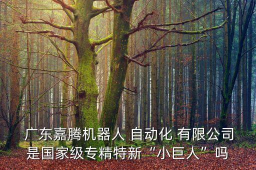  廣東嘉騰機(jī)器人 自動(dòng)化 有限公司是國(guó)家級(jí)專精特新“小巨人”嗎