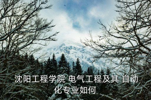 沈陽電氣自動化培訓(xùn)學(xué)校,專業(yè)的電氣自動化培訓(xùn)學(xué)校