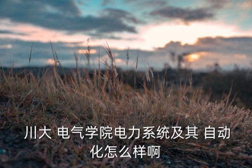  川大 電氣學院電力系統(tǒng)及其 自動化怎么樣啊