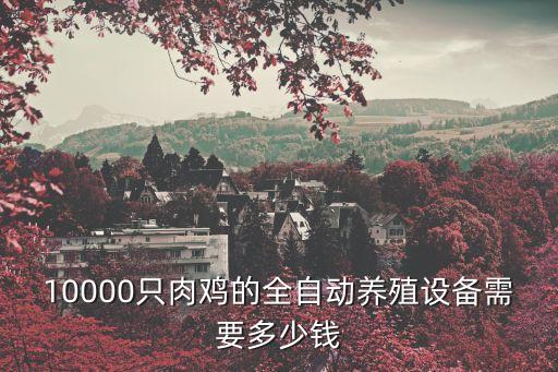 10000只肉雞的全自動(dòng)養(yǎng)殖設(shè)備需要多少錢