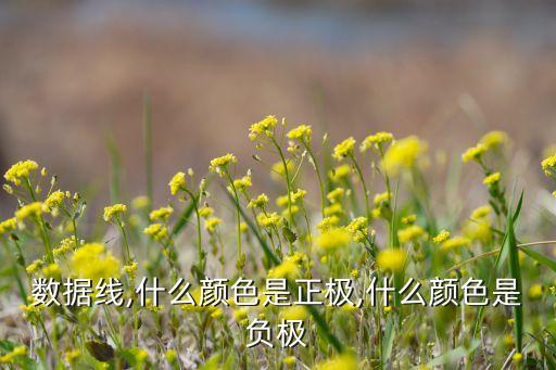 數(shù)據(jù)線,什么顏色是正極,什么顏色是負(fù)極