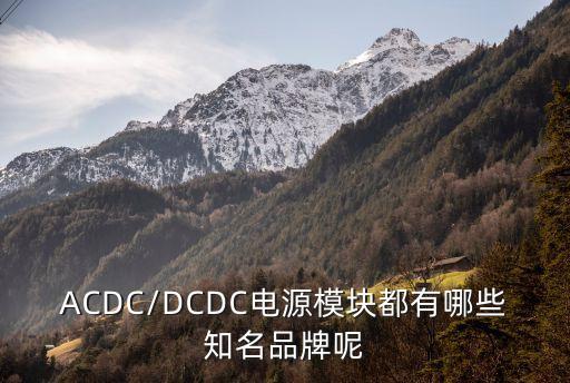 ACDC/DCDC電源模塊都有哪些知名品牌呢