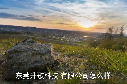 東莞升歌科技 有限公司怎么樣