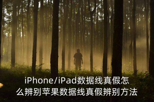 iPhone/iPad數(shù)據(jù)線(xiàn)真假怎么辨別蘋(píng)果數(shù)據(jù)線(xiàn)真假辨別方法