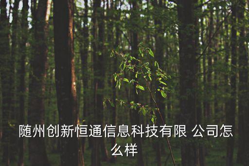 湖北隨州自動(dòng)化公司有哪些