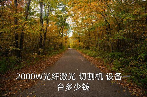 2000W光纖激光 切割機(jī) 設(shè)備一臺多少錢