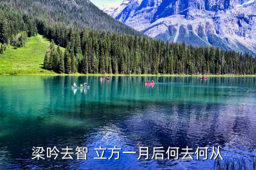 梁吟去智 立方一月后何去何從