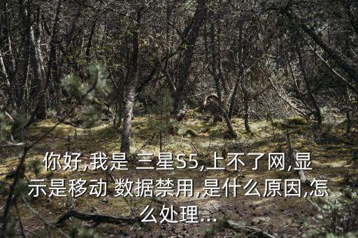 你好,我是 三星S5,上不了網(wǎng),顯示是移動 數(shù)據(jù)禁用,是什么原因,怎么處理...