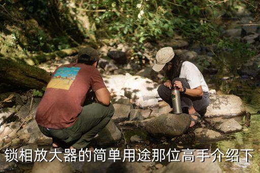 鎖相放大器的簡單用途那位高手介紹下