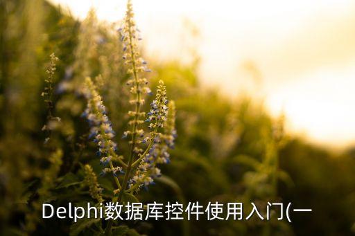 Delphi數(shù)據(jù)庫(kù)控件使用入門(一