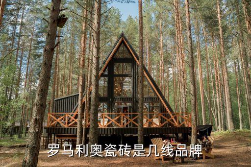 威海利奧自動化設備,羅馬利奧瓷磚怎么樣?我買之前了解過