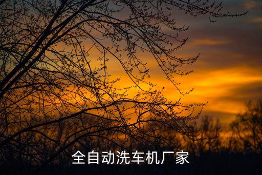 全自動(dòng)洗車機(jī)廠家