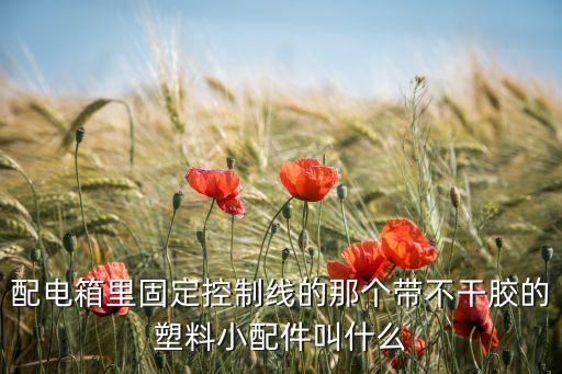 配電箱里固定控制線的那個帶不干膠的塑料小配件叫什么