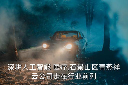 深耕人工智能 醫(yī)療,石景山區(qū)青燕祥云公司走在行業(yè)前列