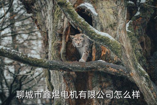 聊城市鑫煜電機(jī)有限公司怎么樣