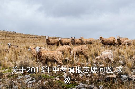 關(guān)于2013年中考填報(bào)志愿問(wèn)題,求教