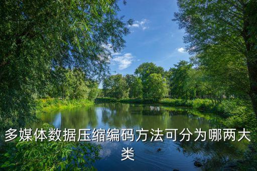多媒體數(shù)據(jù)壓縮編碼方法可分為哪兩大類
