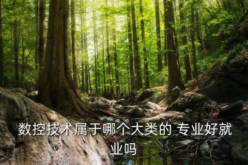 自動(dòng)化數(shù)控專業(yè),數(shù)控自動(dòng)化專業(yè)大學(xué)排名
