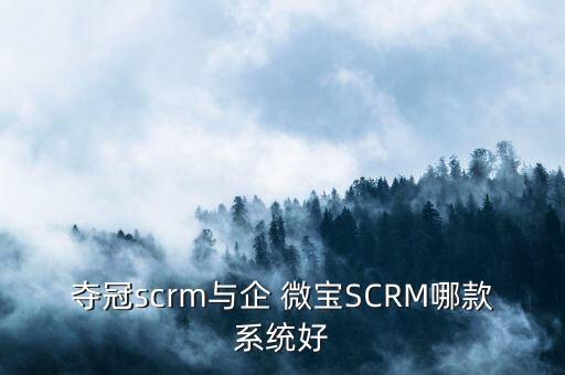 奪冠scrm與企 微寶SCRM哪款系統(tǒng)好