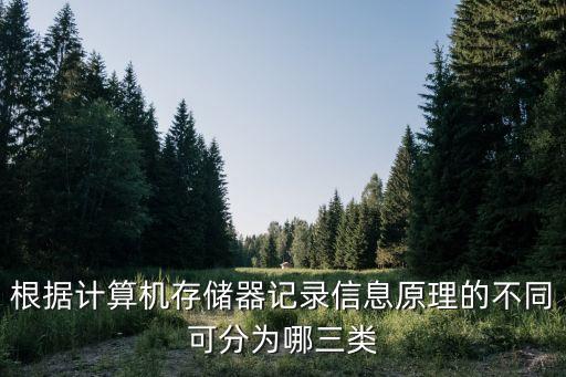 數(shù)據(jù)存儲(chǔ)器原理,存儲(chǔ)器工作原理是什么?