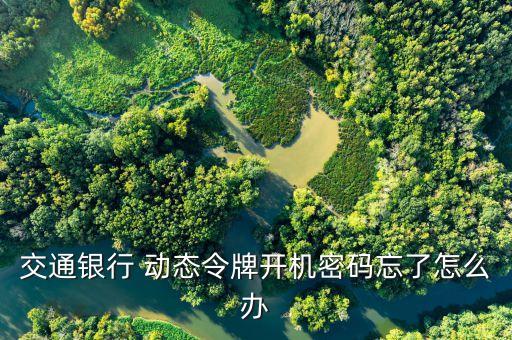 動(dòng)態(tài)令牌,動(dòng)態(tài)密碼手機(jī)令牌:客戶端軟件生成手機(jī)動(dòng)態(tài)口令