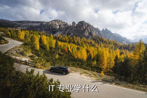 it專(zhuān)業(yè)自動(dòng)化,自動(dòng)化最吃香的專(zhuān)業(yè)