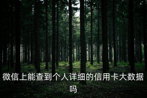 微信上能查到個人詳細的信用卡大數(shù)據(jù)嗎