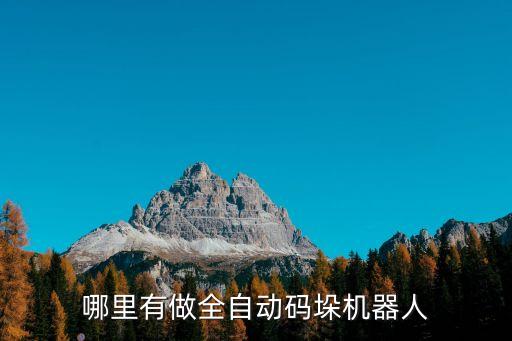 哪里有做全自動碼垛機器人