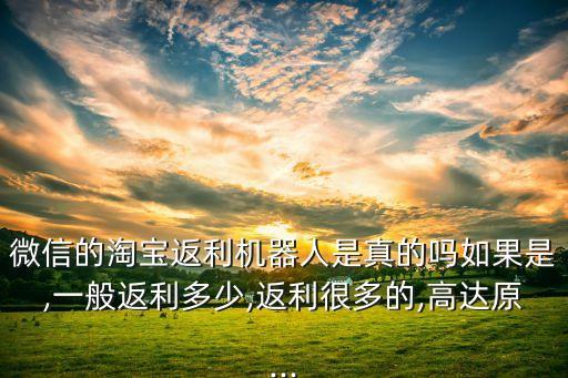致富紅包機(jī)器人,返利機(jī)器人哪個(gè)優(yōu)惠券查詢(xún)服務(wù)最優(yōu)惠?