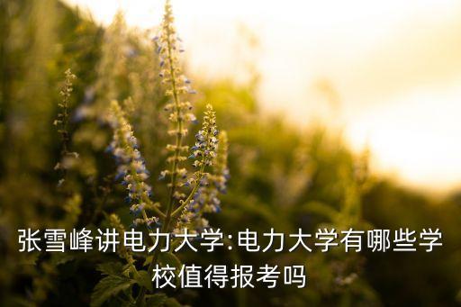 張雪峰自動(dòng)化專業(yè)排名,張雪峰自動(dòng)化工程師專業(yè)介紹及方向