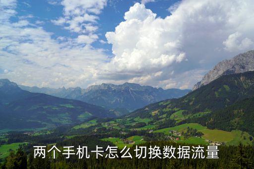 雙卡切換數(shù)據(jù)網(wǎng)絡(luò)嗎,雙卡雙待手機(jī)怎么切換上網(wǎng)?
