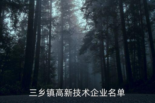 三鄉(xiāng)鎮(zhèn)高新技術企業(yè)名單