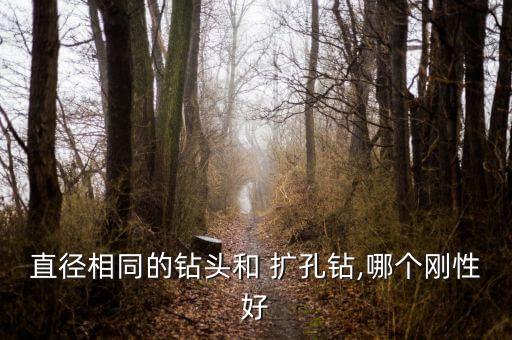 直徑相同的鉆頭和 擴孔鉆,哪個剛性好