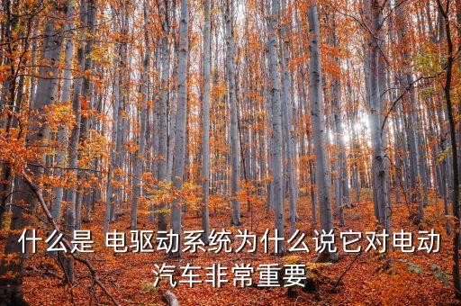 什么是 電驅(qū)動(dòng)系統(tǒng)為什么說它對電動(dòng)汽車非常重要