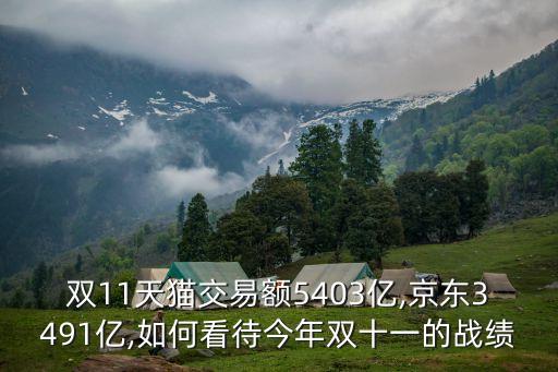 雙十一網(wǎng)上數(shù)據(jù)證明,雙十一大促活動優(yōu)惠多多成交額怎么看?