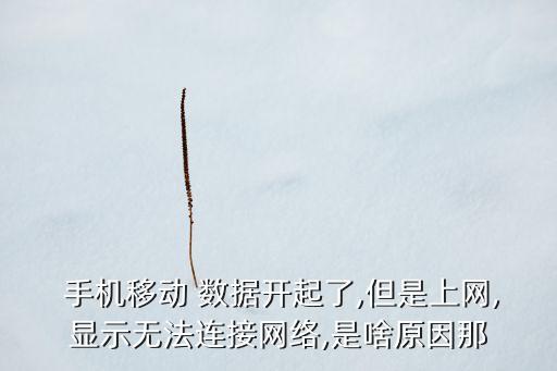  手機(jī)移動(dòng) 數(shù)據(jù)開起了,但是上網(wǎng),顯示無法連接網(wǎng)絡(luò),是啥原因那