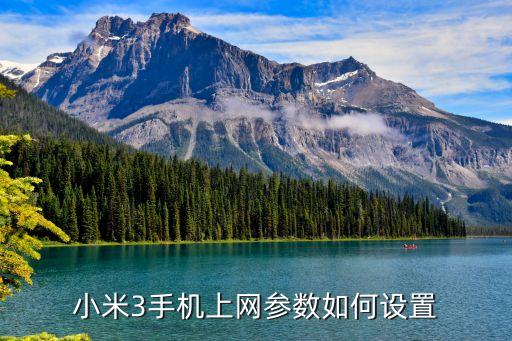 小米3手機(jī)上網(wǎng)參數(shù)如何設(shè)置