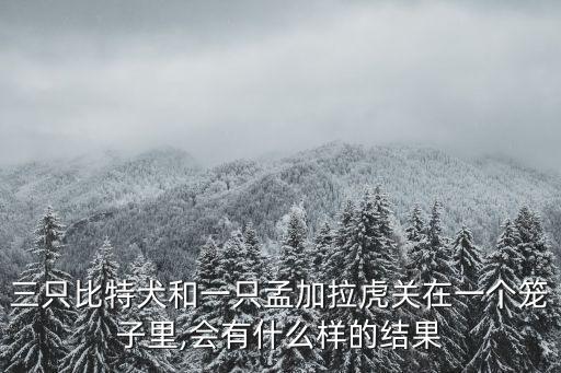 三只比特犬和一只孟加拉虎關(guān)在一個(gè)籠子里,會有什么樣的結(jié)果