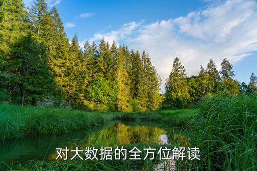 互聯(lián)網(wǎng)數(shù)據(jù) 量,怎么理解互聯(lián)網(wǎng)行業(yè)數(shù)據(jù)分析意義?