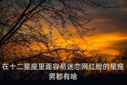 在十二星座里面容易迷戀網(wǎng)紅臉的星座男都有啥