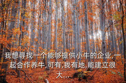 我想尋找一個(gè)能夠提供小牛的企業(yè),一起合作養(yǎng)牛,可有,我有地,能建立很大...