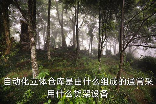 自動化立體倉庫是由什么組成的通常采用什么貨架設(shè)備